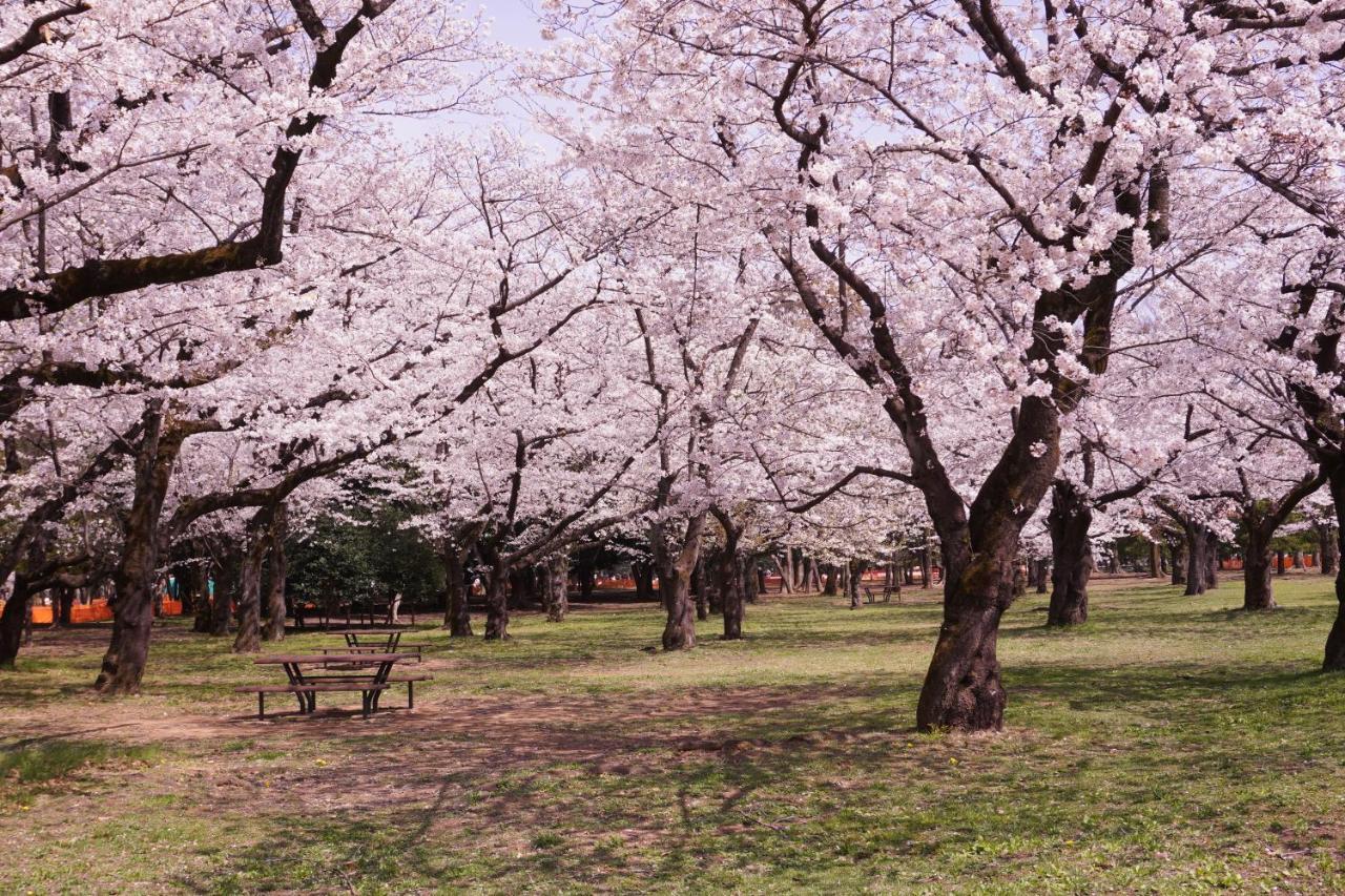 渋谷 広め50M2 2Ldk 代々木公園駅徒歩5分 家族におすすめ Apartment Tokyo Luaran gambar